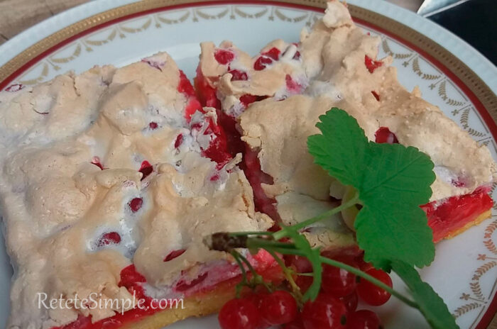 Prajitura cu coacaza poza