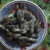 Paste cu ficat de porc poza