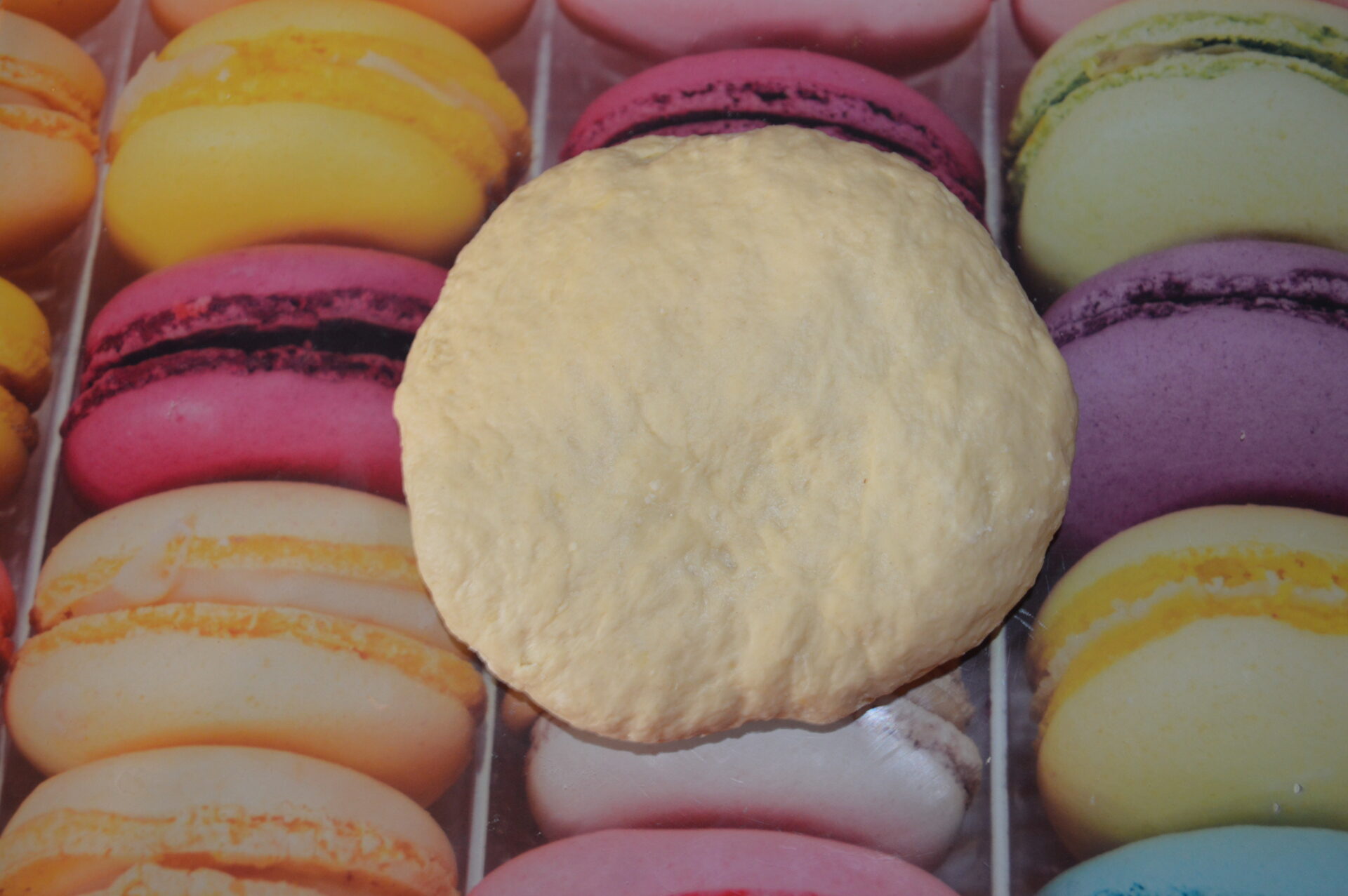 Aluat pentru coltunasi si pelmeni poza