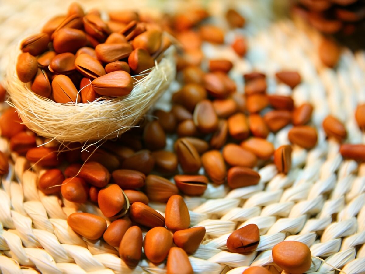 Ce beneficii au semințele de pin  poza