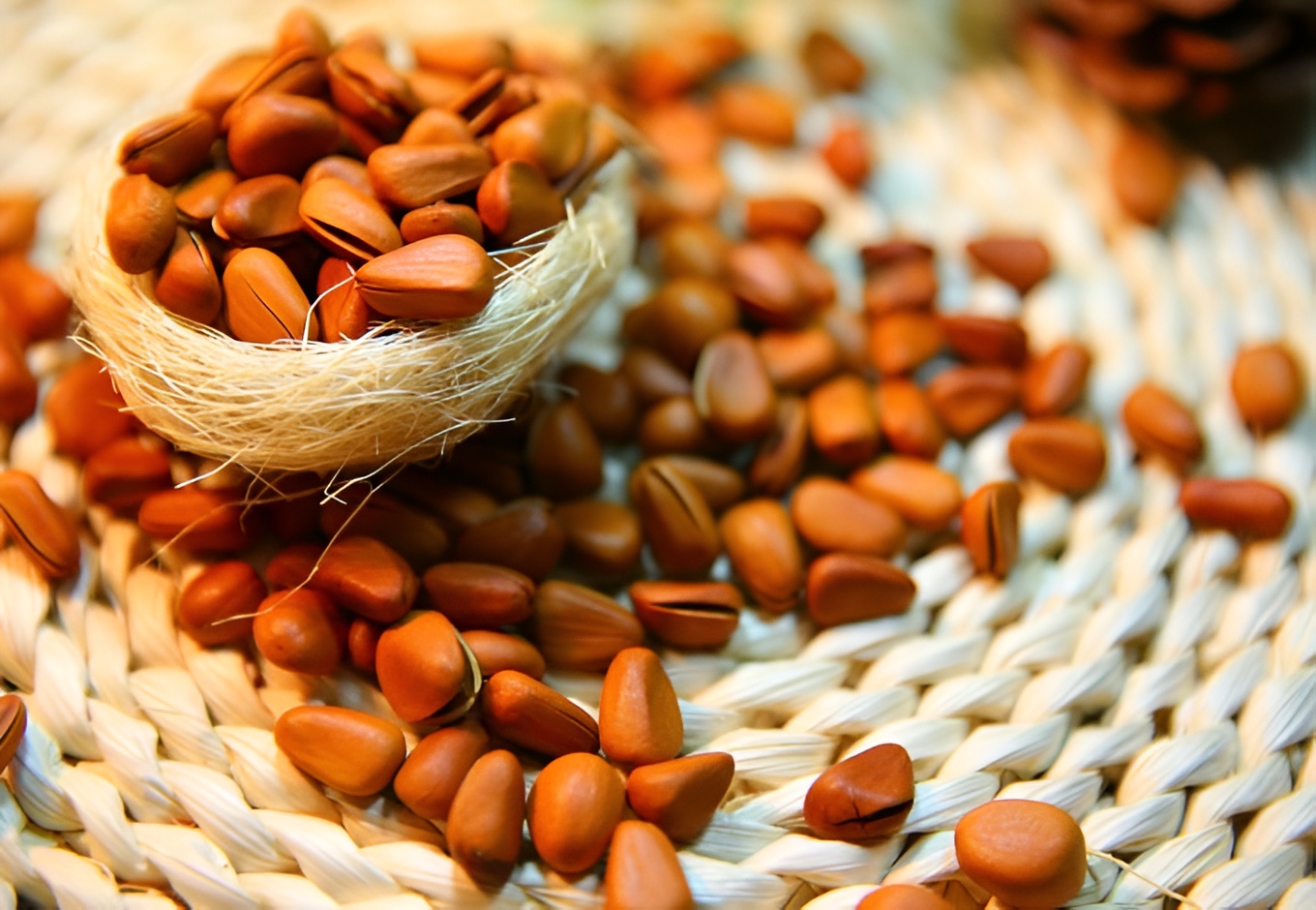 Ce beneficii au semințele de pin  poza