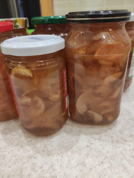 Gem din mere de vara poza