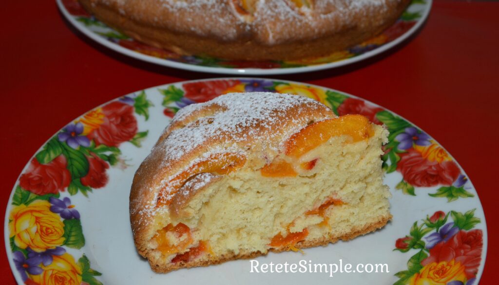 Slice of apricot cake with powdered sugar