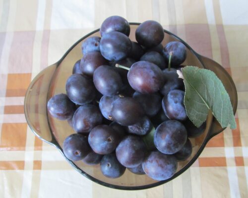 Wash the ripe prunes