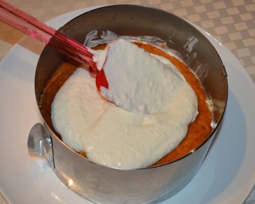 Place the second half of the sponge cake on top