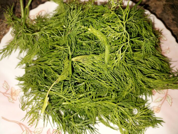 vom indeparta tulpina si vom lasa doar ramurile