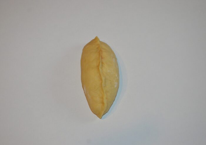 Seal the edges of the dough