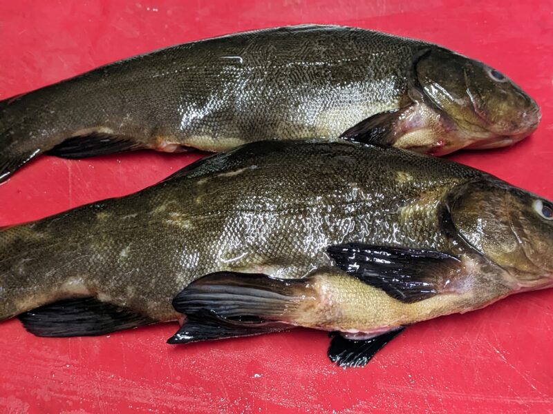 Am doi pesti mici, de aproximativ 350 g fiecare