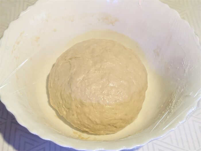 Knead the risen dough