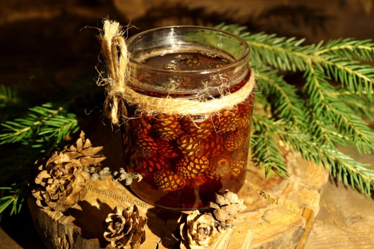 Gem din conuri de pin