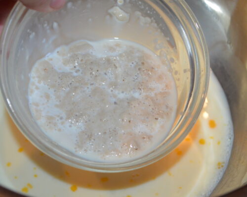 Turnati drojdia in bol