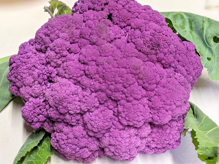 I had purple cauliflower