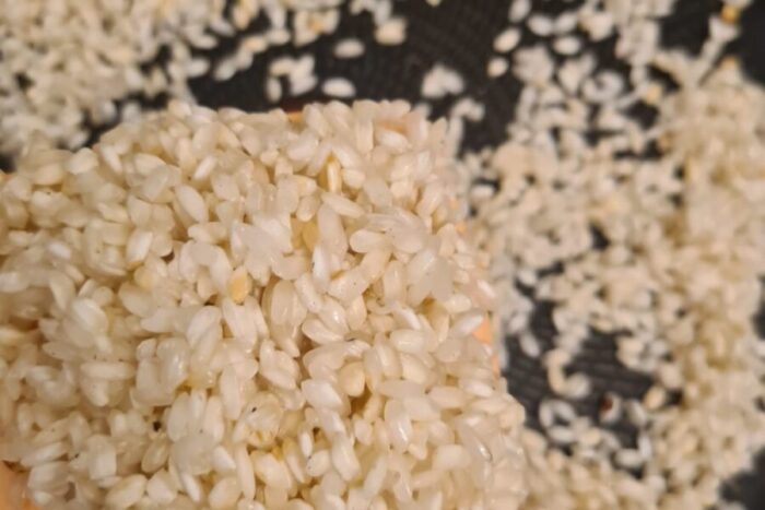 En una sartén caliente con aceite se fríe el arroz